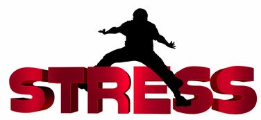 开云体育入口-冠军光环背后的心理压力你了解吗，冠军光环属性